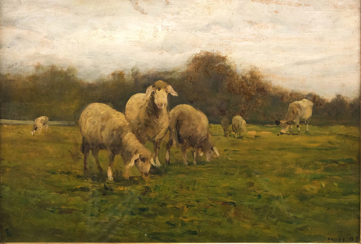 Pascolo a novembre